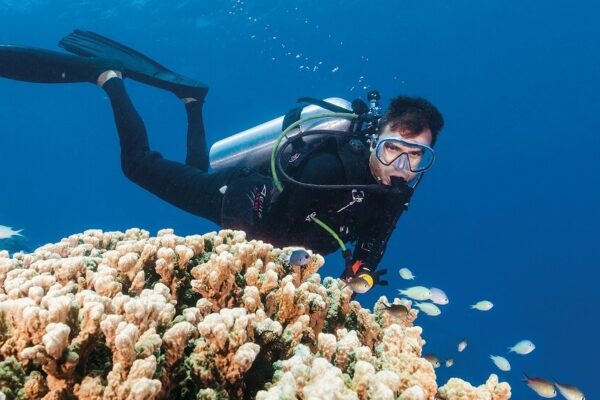 Great Barrier Reef Daytripper Snorkel & Dive Experience