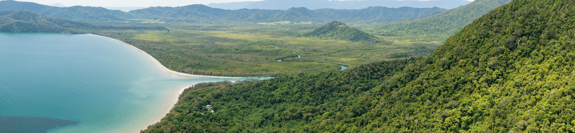 Daintree Rainforest & Cape Tribulation