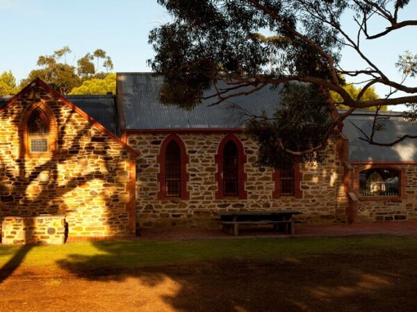 Half Day McLaren Vale Wine Tour