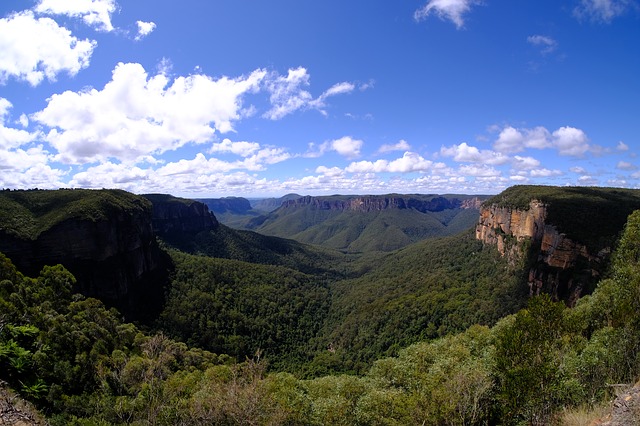 Blue Mountains View