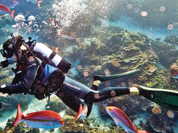 Great Barrier Reef Adventure