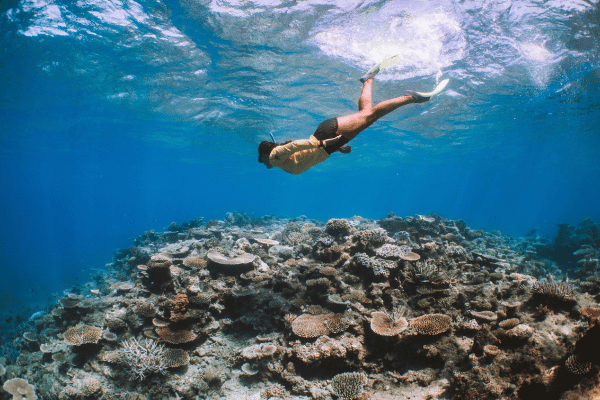 Great Barrier Reef
