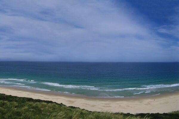Bruny Island Day Tour