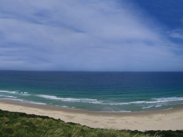 Bruny Island Day Tour