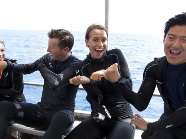 Outer Barrier Reef From Reef Marina – Port Douglas