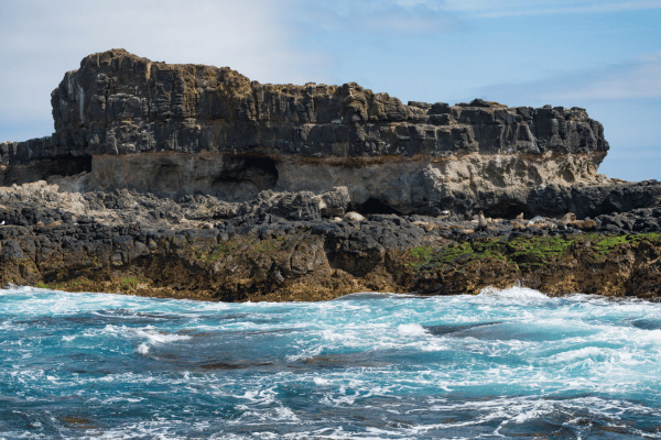 Seal Rocks Phillip Island