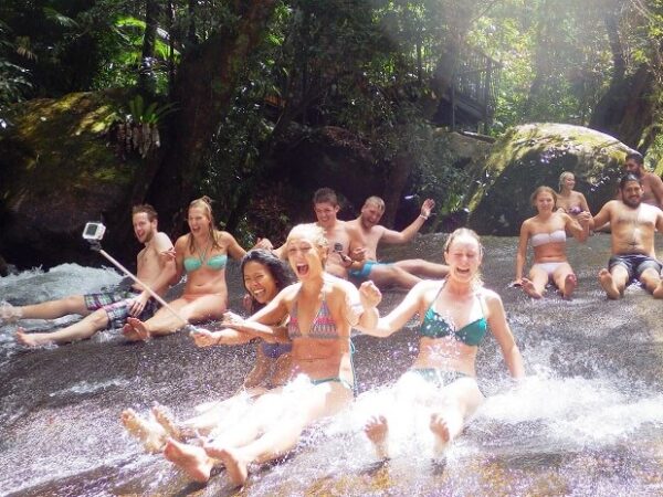 2 Day Atherton Tablelands & Daintree Rainforest Tour