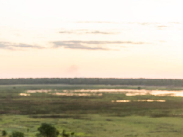 1 Day Kakadu Crocodiles & Rock Art Tour