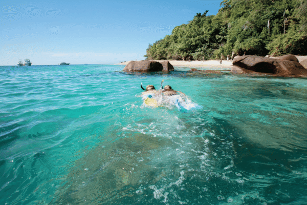 Full Day Fitzroy Island Tour