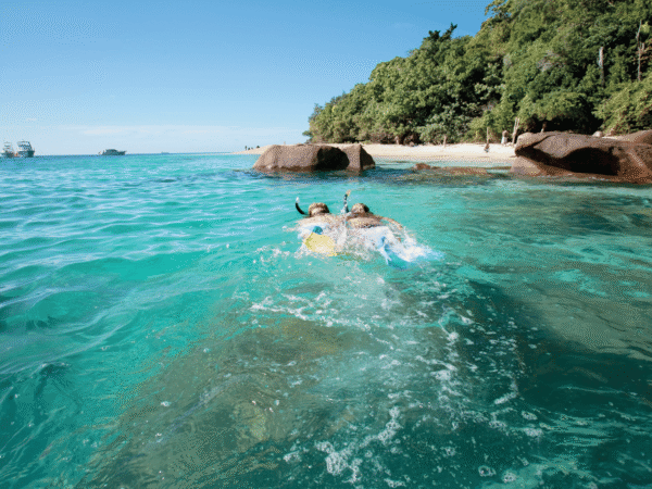 Full Day Fitzroy Island Tour